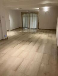Tanglin Park (D10), Condominium #564026841